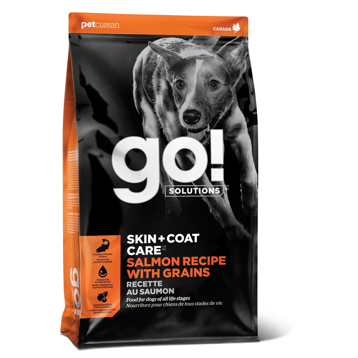 Go! Solutions Skin + Coat Care Salmon Recipe Dry Dog Food - Healthber