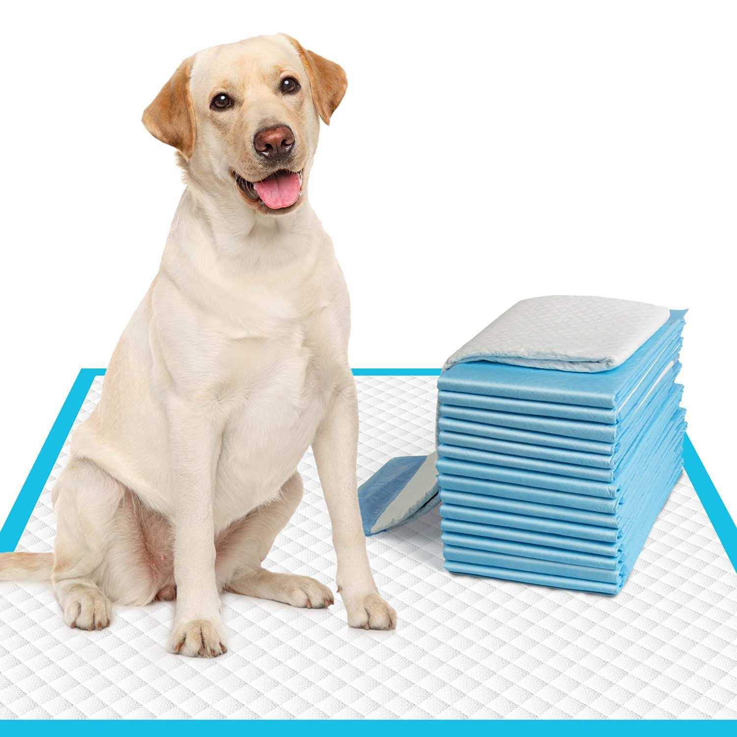 IMMCUTE Extra Large Dog Pee Pads Large Puppy Pee Training Pads Super Absorbent & Leak-Proof - Healthber
