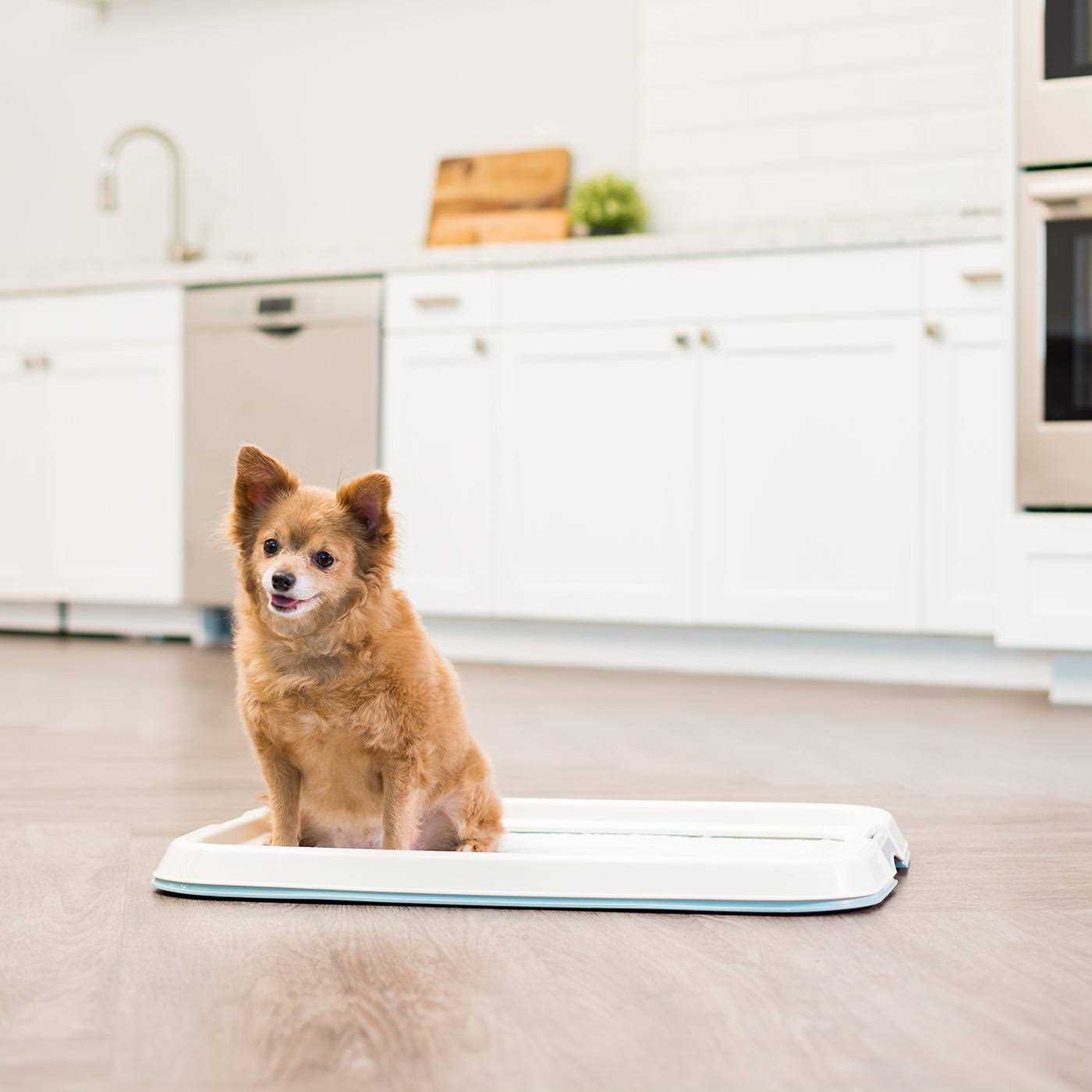 IRIS USA Square Pet Training Pad Holder - Healthber