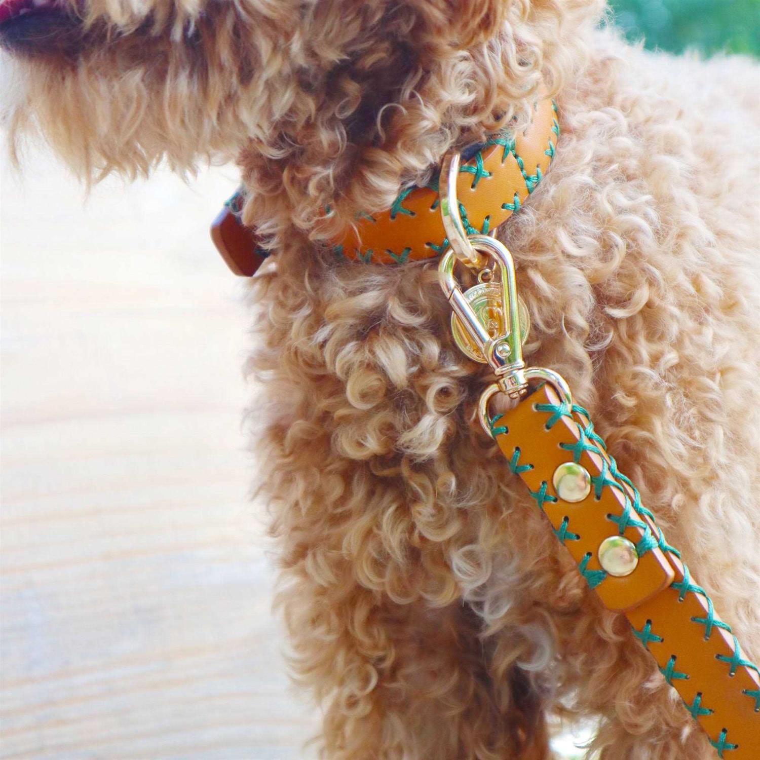 Scotch & Co Handcrafted Standard Dog Collar - Healthber