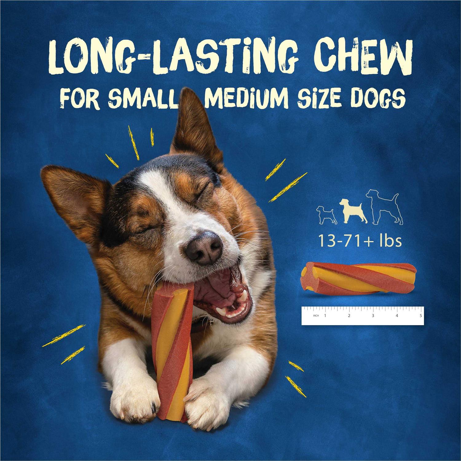 Purina Busy with Beggin’ Twist’d Small/Medium Dog Treats - Healthber