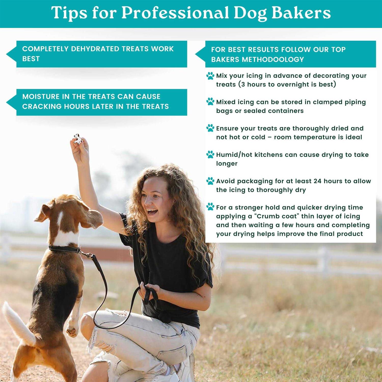 K9Cakery Magifrost Icing for Dog Treats Create Vibrantly and Dog-Safe Delights - Healthber