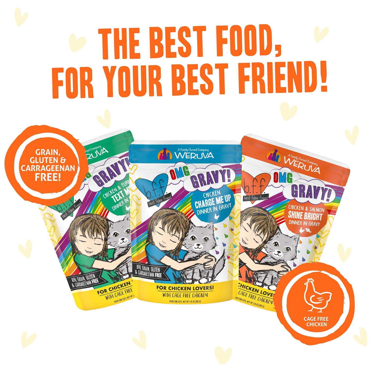 Weruva B.F.F. OMG Best Feline Friend Oh My Gravy - Healthber