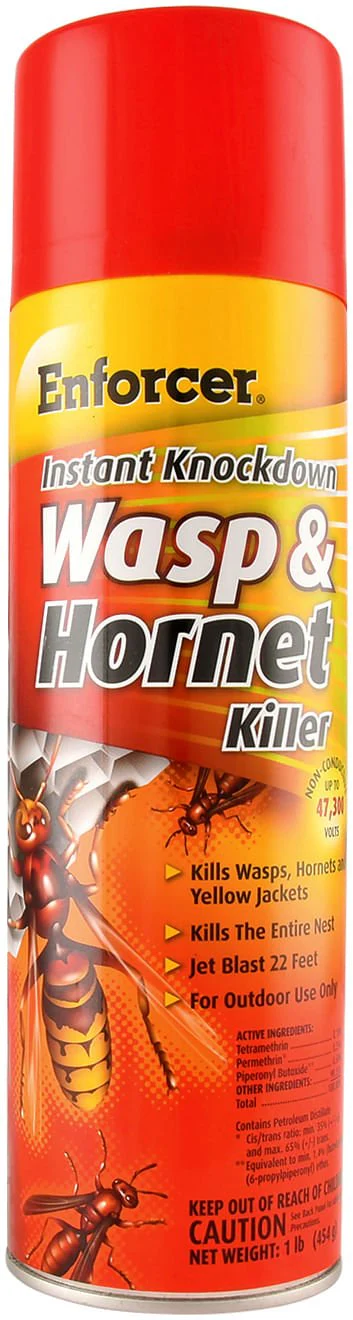 Instant Knockdown Wasp & Hornet Killer, 16 oz - Healthber