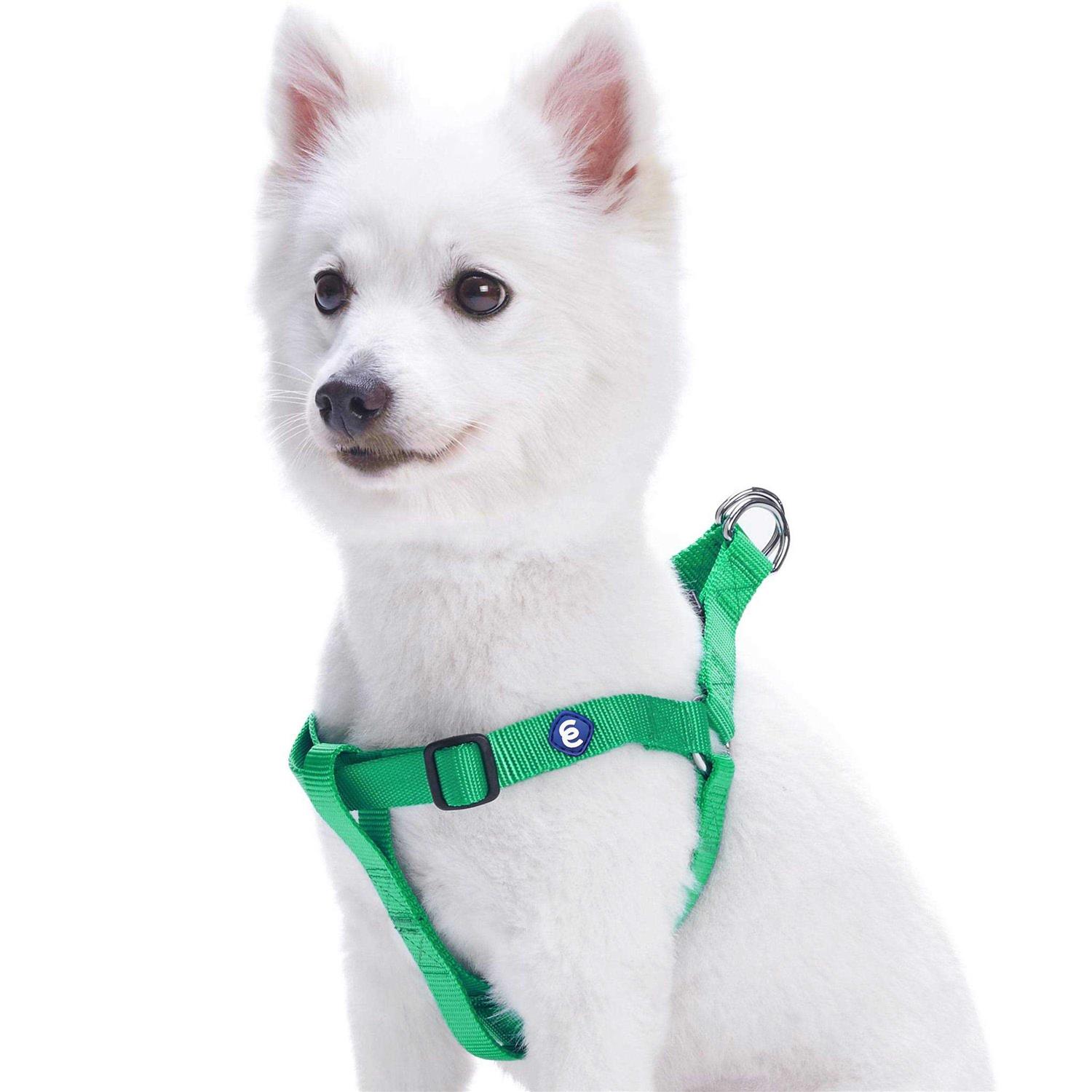 Blueberry Pet Essentials Classic Durable Solid Nylon Step-In Dog Harness - Healthber