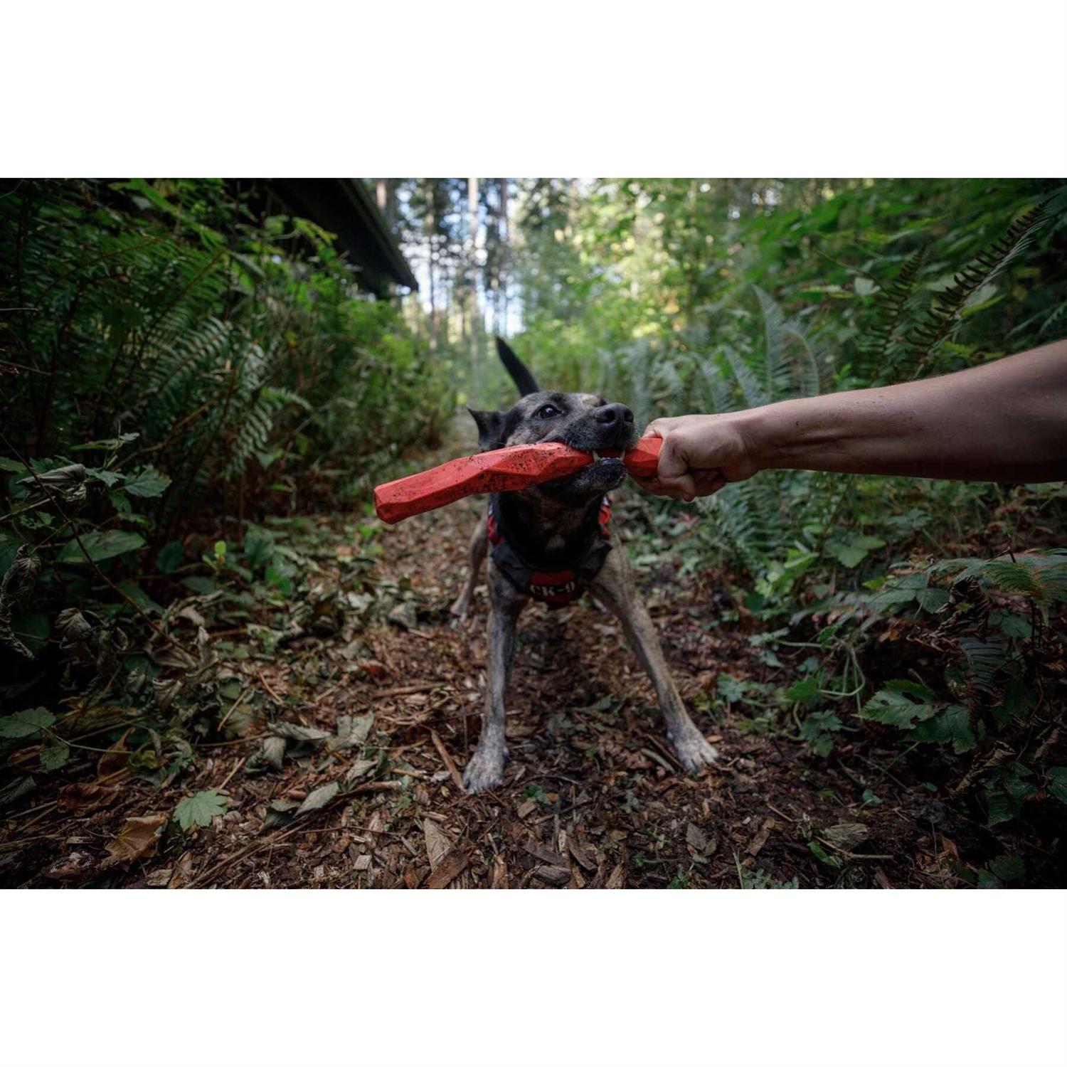 Gnawt-a-Stick Toy Ruffwear - Healthber