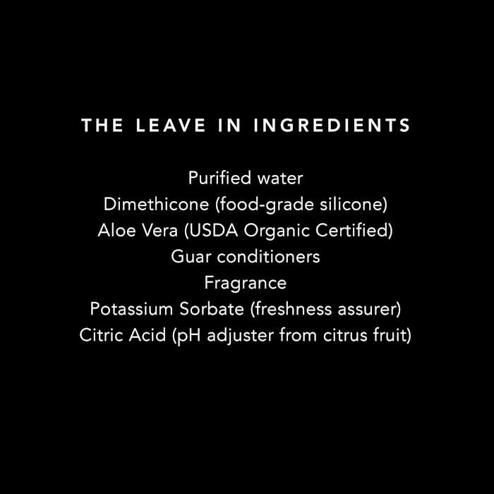 Pride+Groom The Leave in Conditioner Treatment for Dogs - Healthber