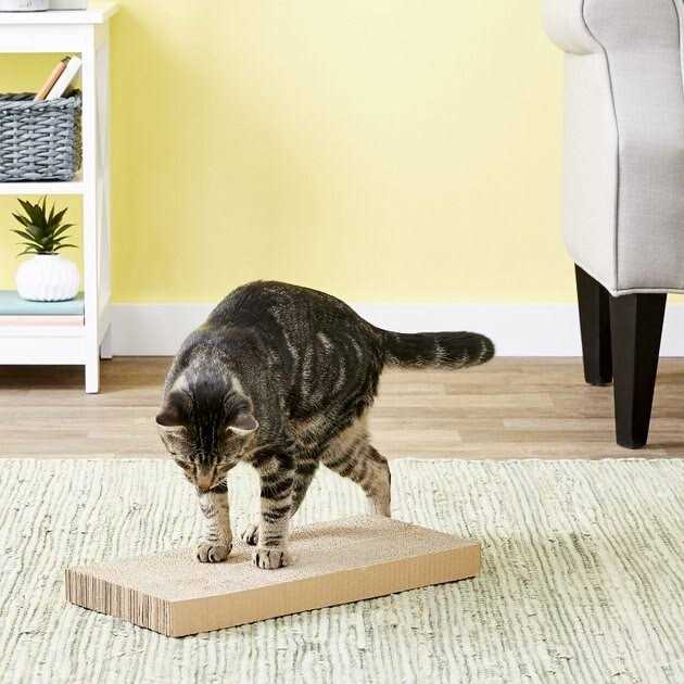 Midwest Catty Scratch Cat Scratcher - Healthber