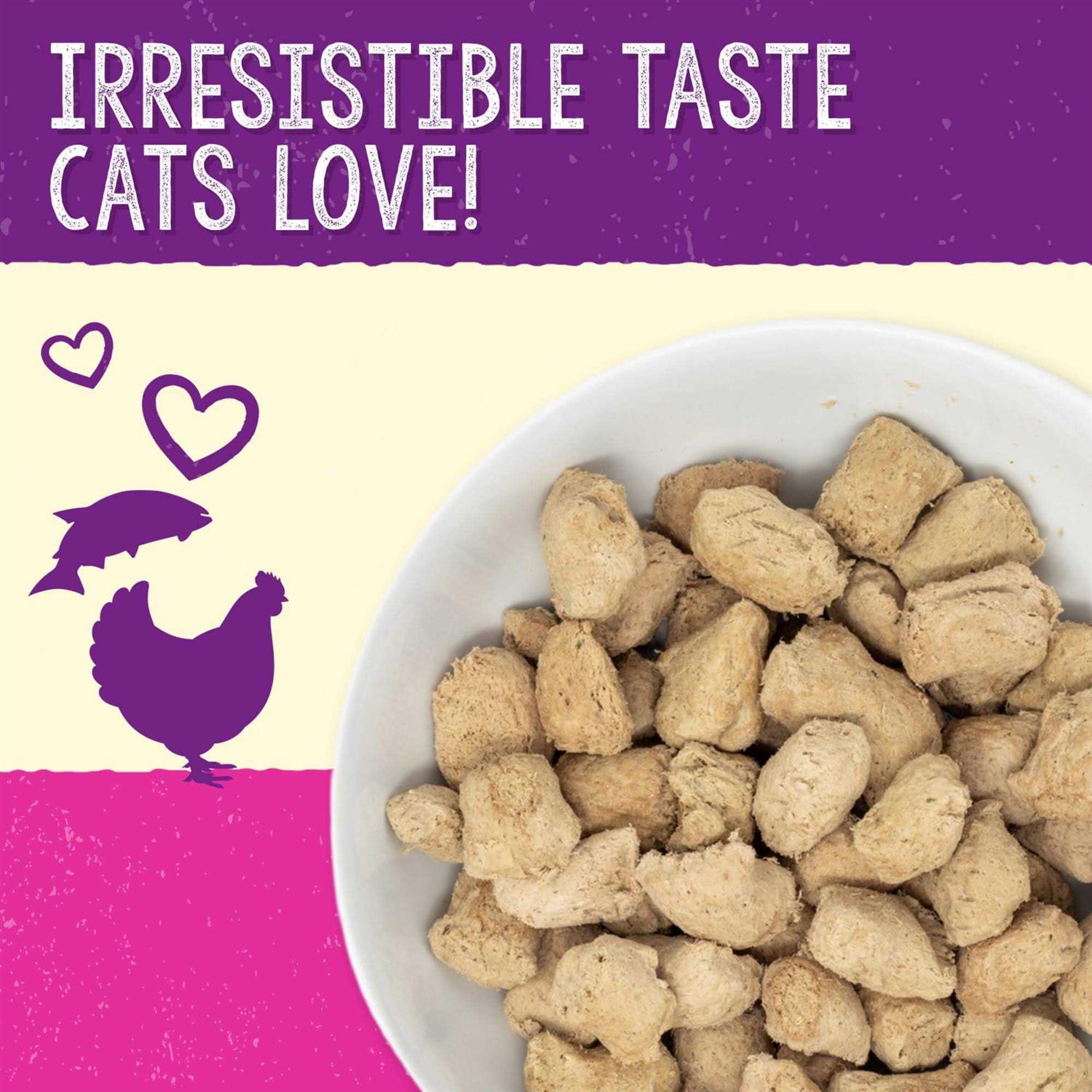 Stella & Chewy’s Dinner Yummy Lickin’ Salmon Chicken Freeze-Dried Cat Food - Healthber