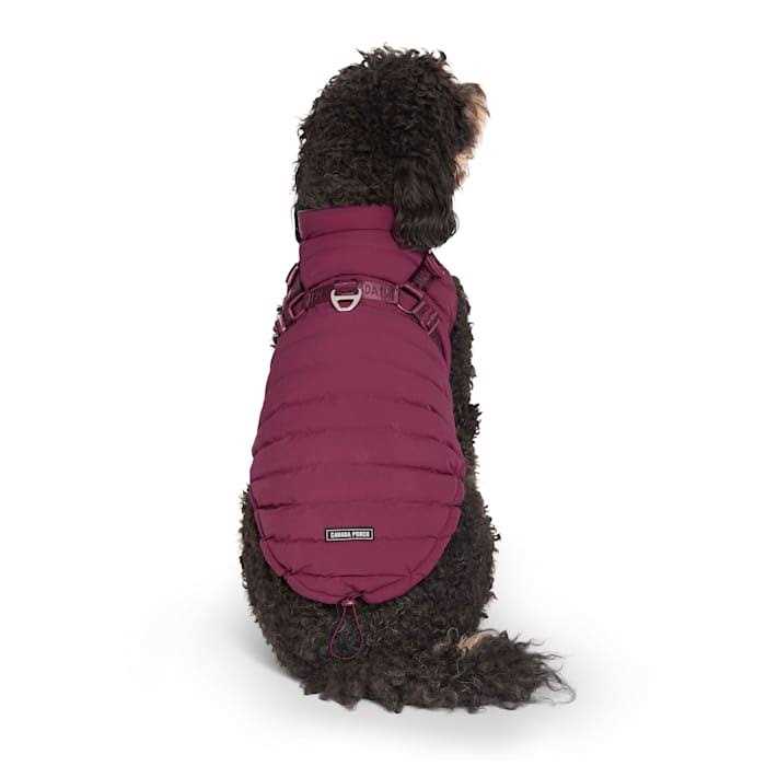 Canada Pooch Harness Puffer Black - Healthber