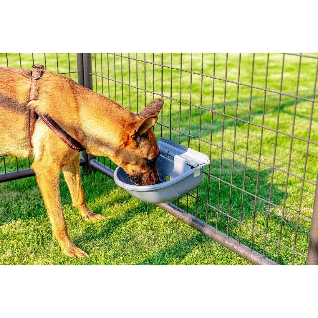 Pet Gazebo Automatic Waterer - Healthber