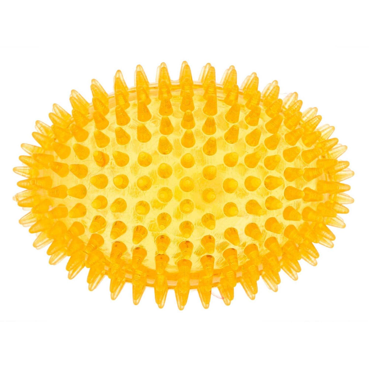 Top Paw Spiky Football Squeaker Dog Toy - Healthber