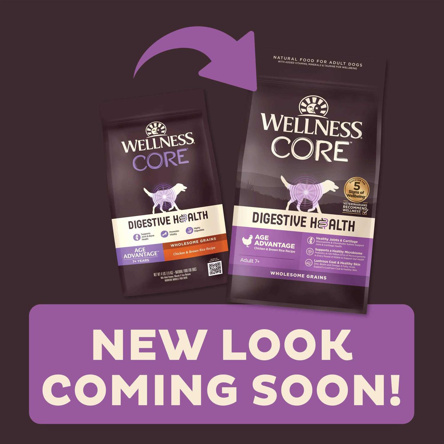 Wellness Core Digestive Health Senior Dry Dog Food - Healthber