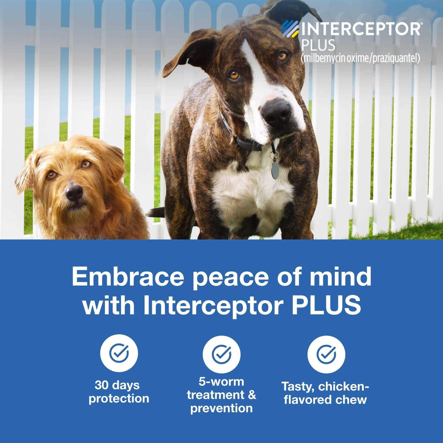 Interceptor Plus Chewable for Dogs - Healthber