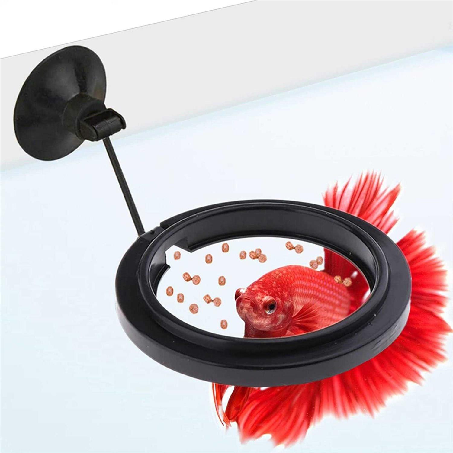 SunGrow Betta & Goldfish Food Pellets & Flakes Fish Feeding Ring - Healthber