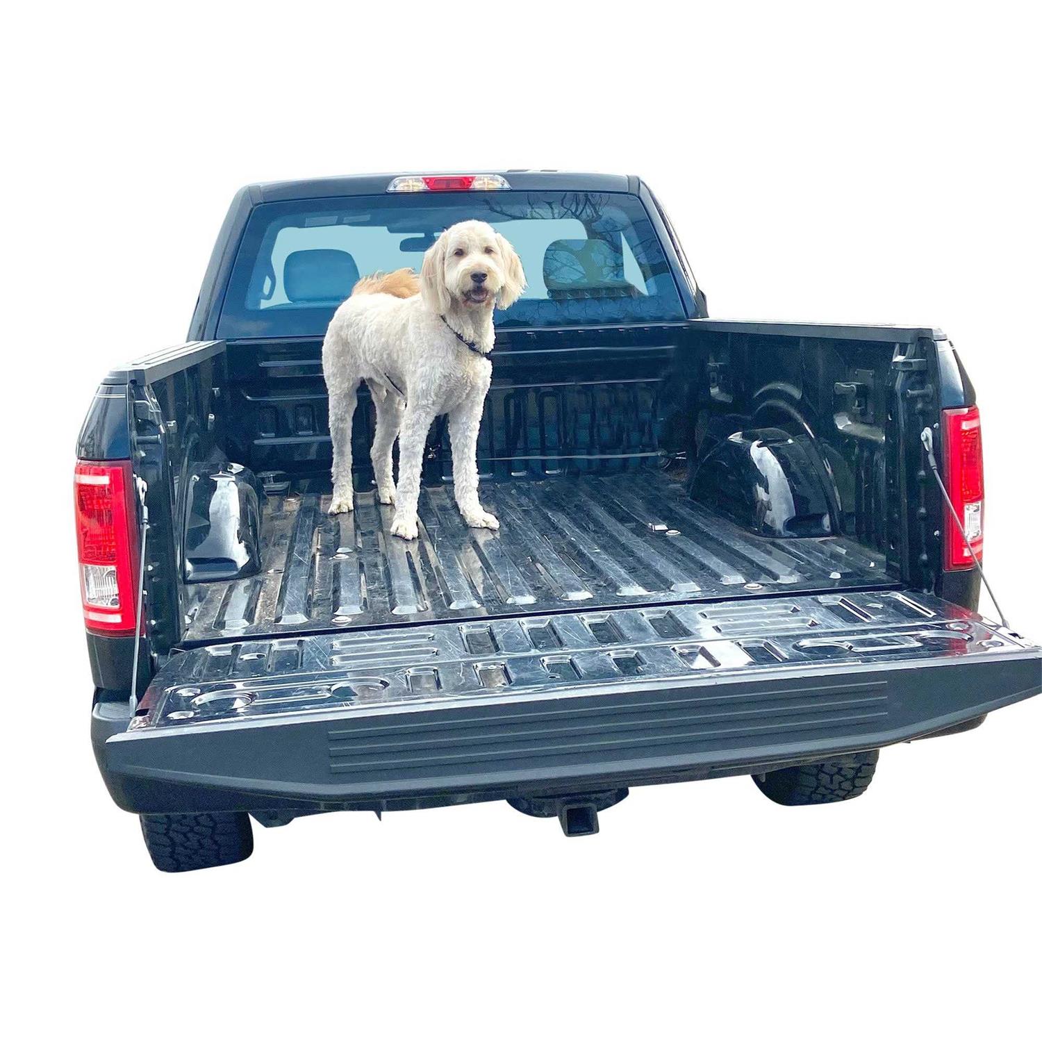 Labra Dog Truck Bed Leash Tether - Healthber