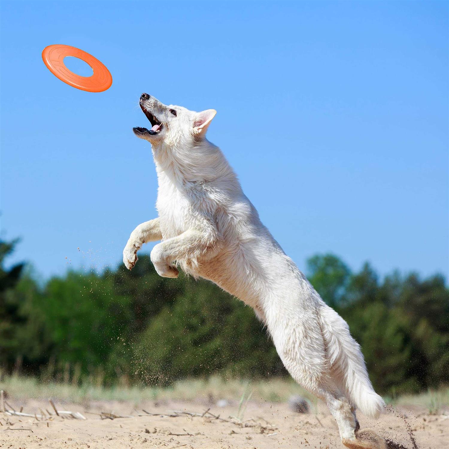 Nerf Atomic Flyer Dog Toy - Healthber