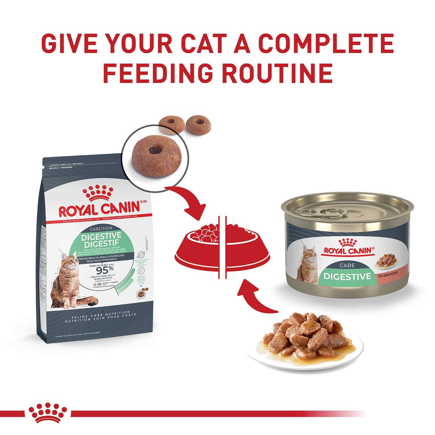Royal Canin Digest Sensitive Thin Slices in Gravy Wet Cat Food - Healthber