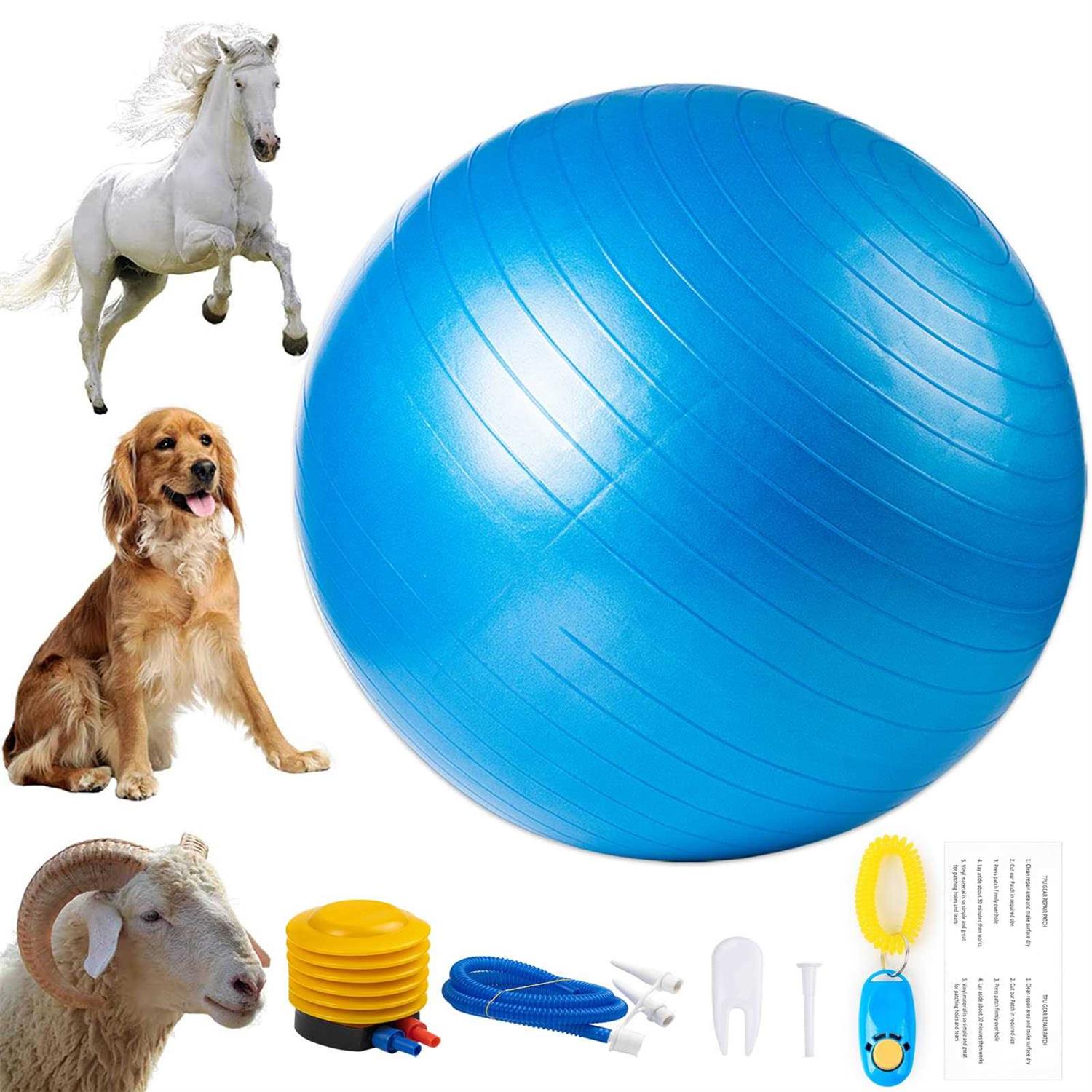 capuca Large Horse Balls for Play 30 Inch Anti-Burst Mega Herding Ball Giant Horse for Dogs Goats Horses to Play with Pump - Healthber