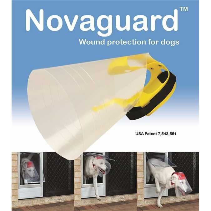Provizor Products ED Nova Guard - Healthber