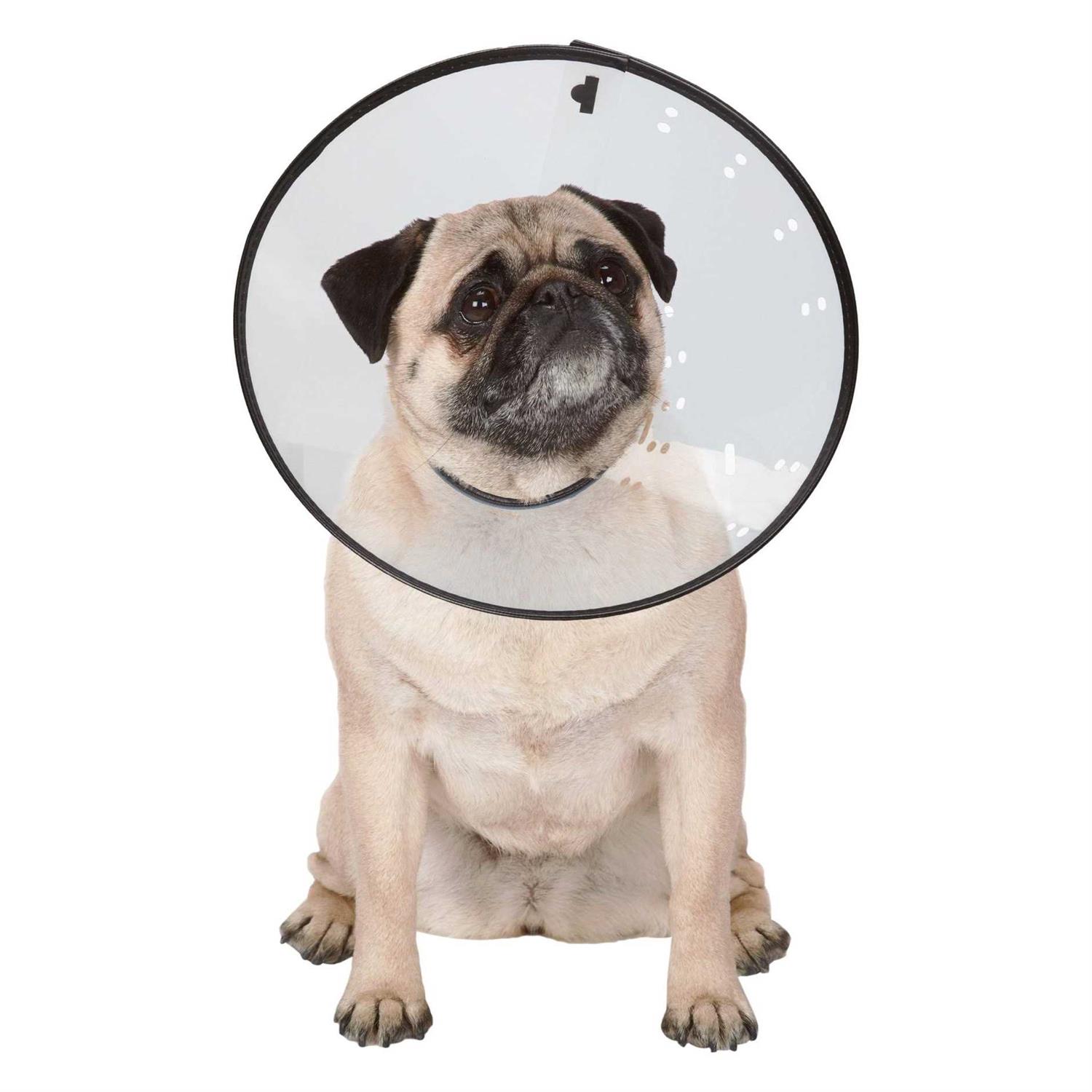 Total Pet Health E Collar - Healthber