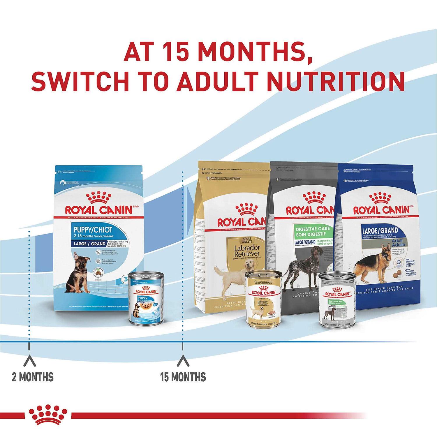Royal Canin Size Health Nutrition Large Breed Puppy Dry Dog Food - Healthber