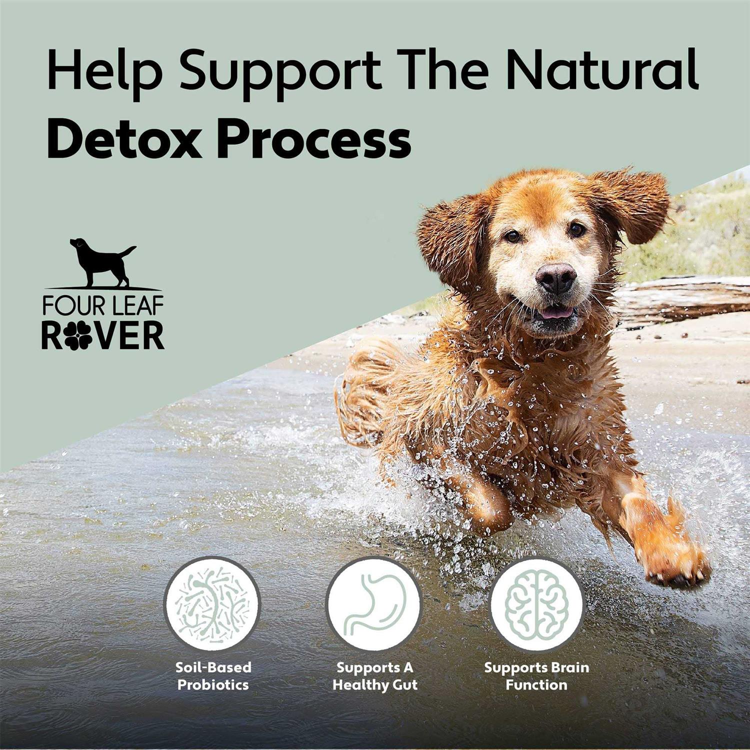 Four Leaf Rover Protect Soil-Based Probiotics and Prebiotics for Dogs - Healthber