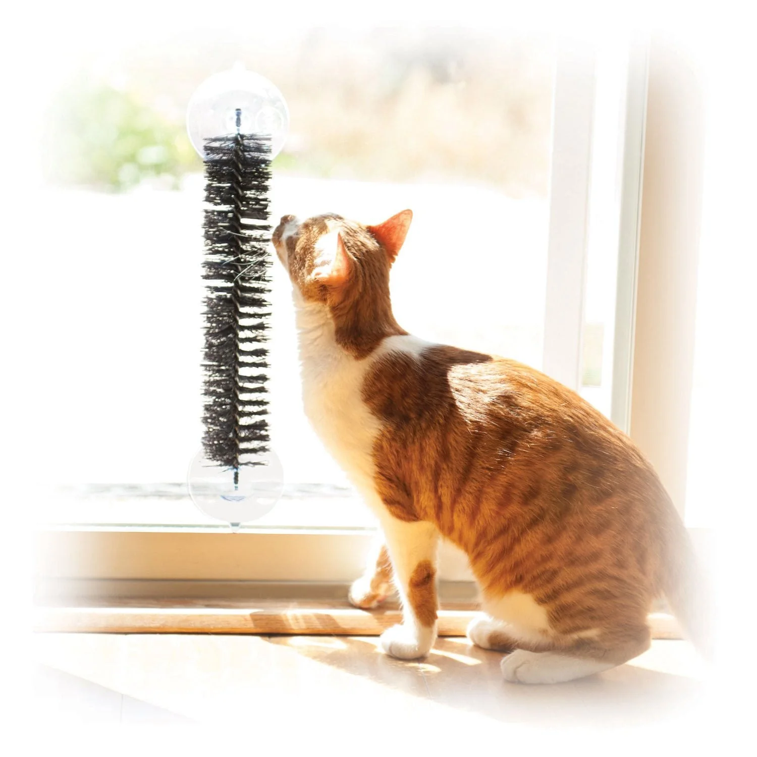 EZ Mount Self-Grooming Brush - Healthber