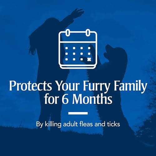 PetArmor Flea & Tick Collar for Dogs - Healthber