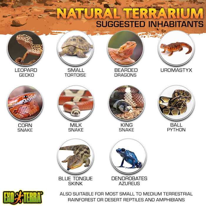 Exo Terra Glass Terrarium - Healthber