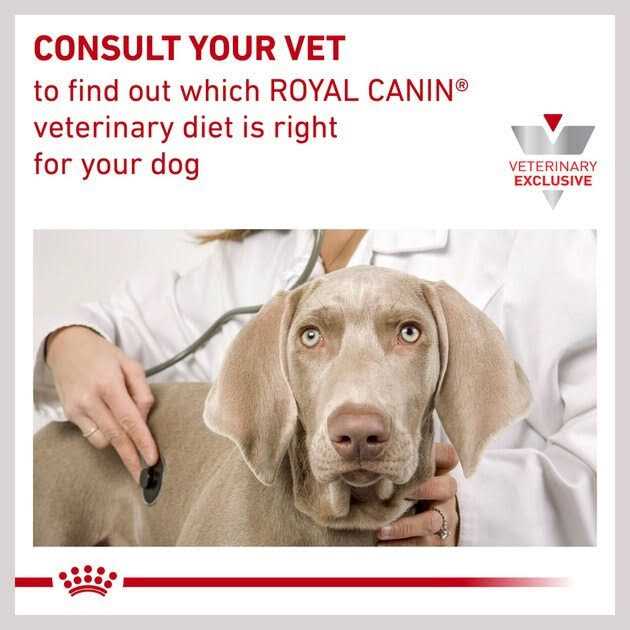 Royal Canin Veterinary Diet Adult Hydrolyzed Protein Loaf Canned Dog Food - Healthber