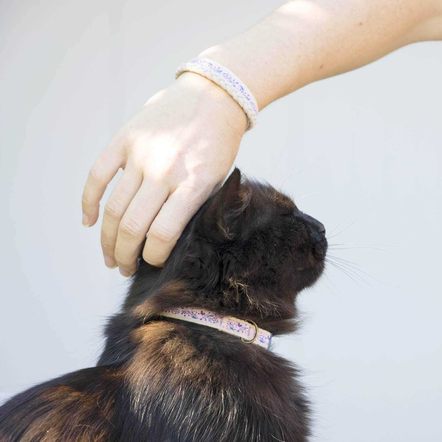 Pettsie Cat Collar Breakaway Friendship Bracelet - Healthber