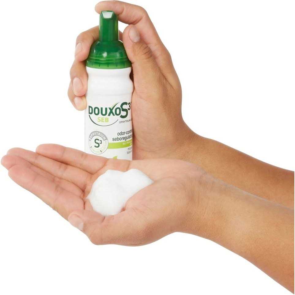 Douxo S3 SEB Mousse - Healthber