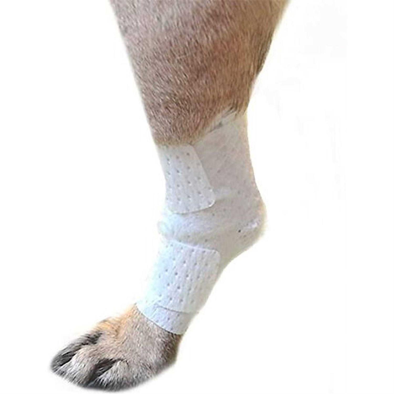 PawFlex Bandages Joint Pets - Healthber