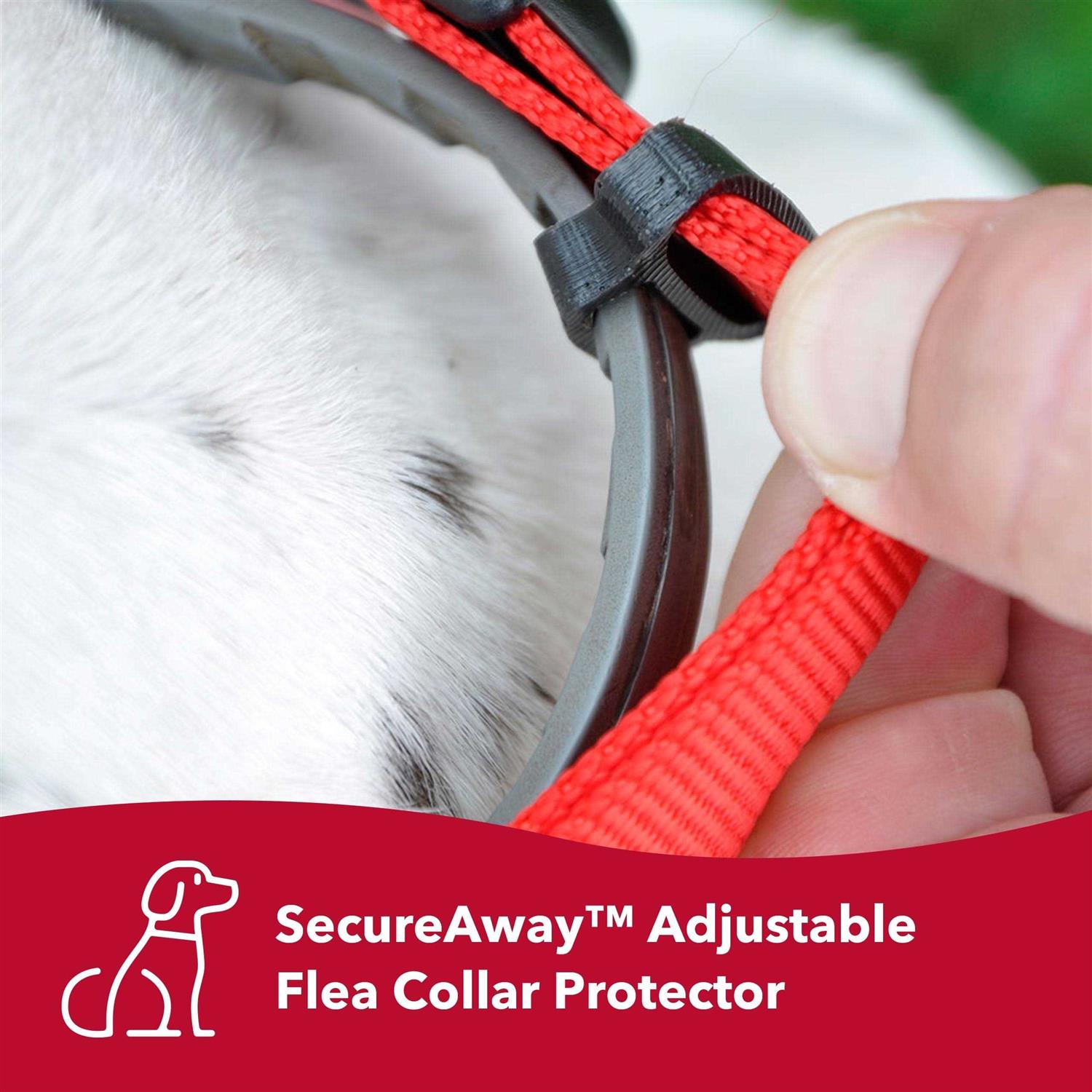 Coastal Hideaway Flea Collar Protector - Healthber