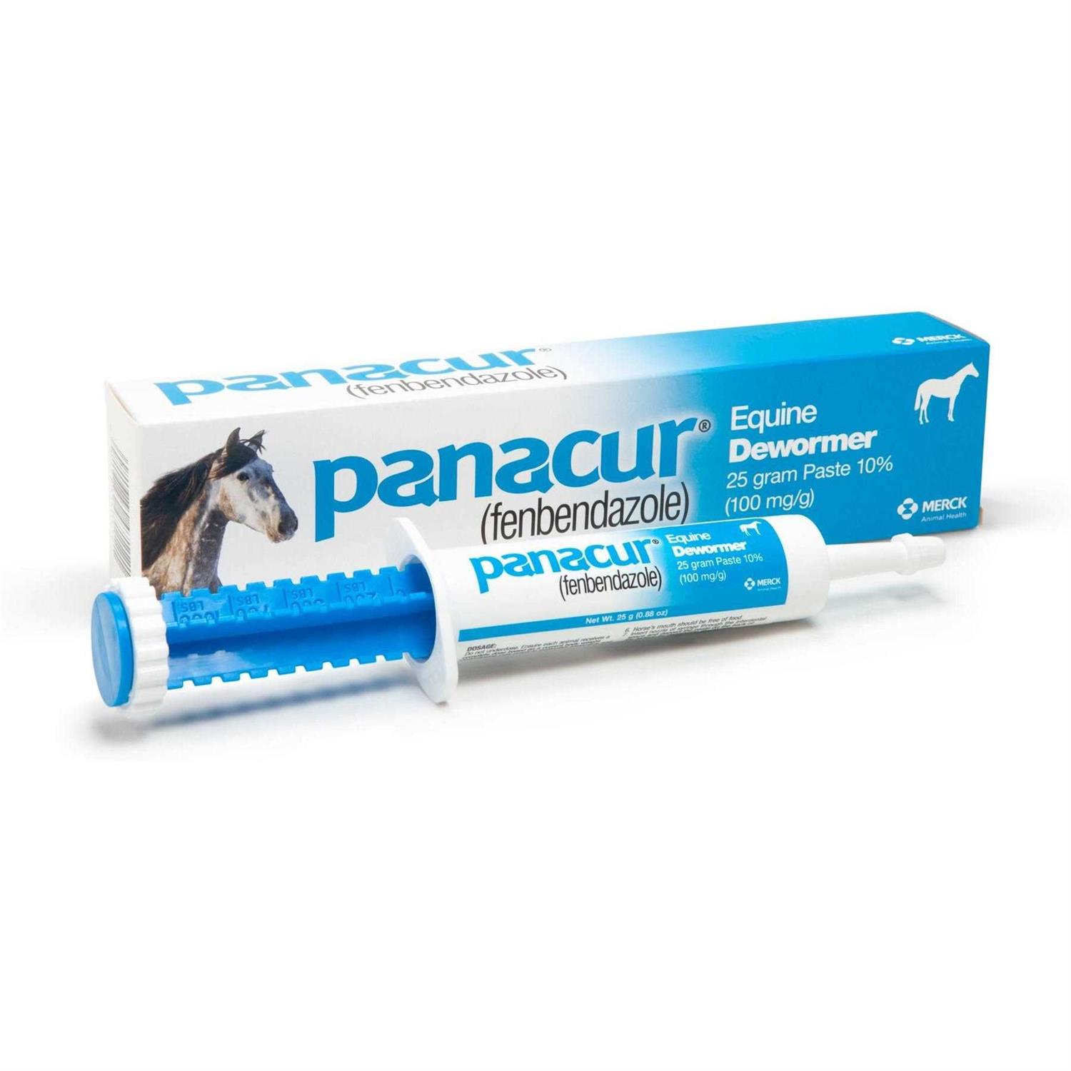 Panacur Horse Dewormer Paste - Healthber