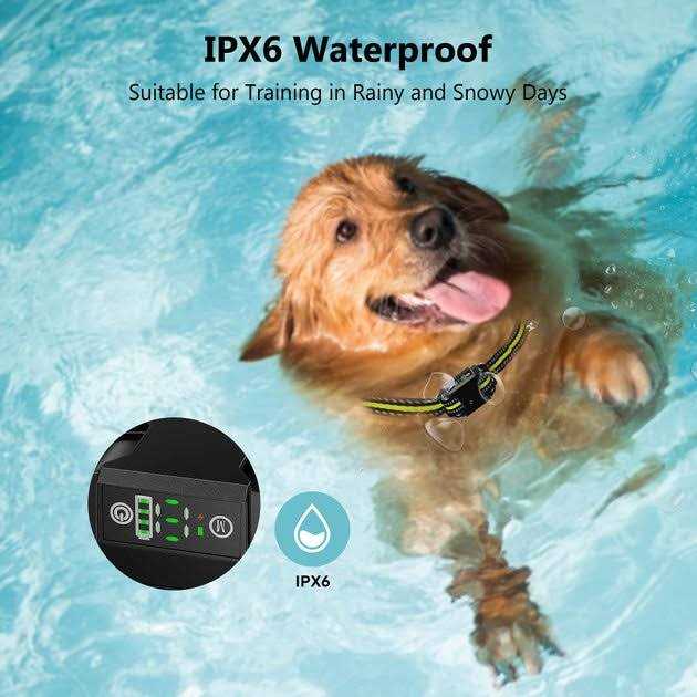 Petdiary B600 Waterproof Dog Bark Collar - Healthber