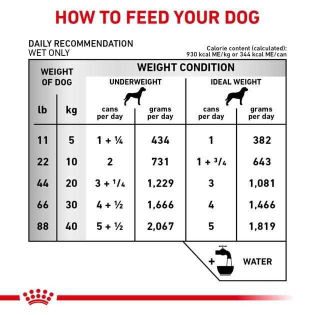Royal Canin Veterinary Diet Adult Renal Support D Thin Slices in Gravy Canned Dog Food - Healthber