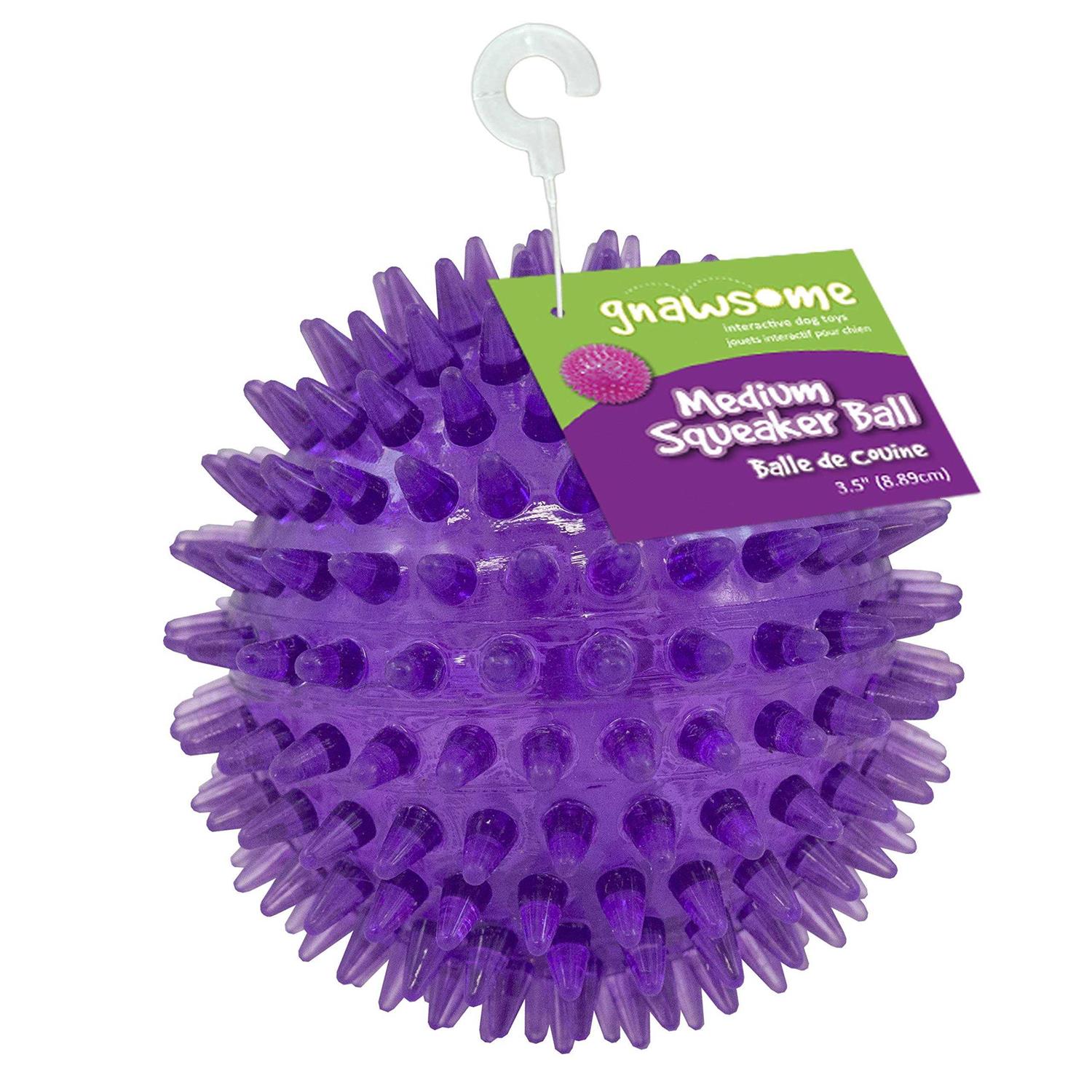 Gnawsome Squeaker Ball Dog Toy - Healthber