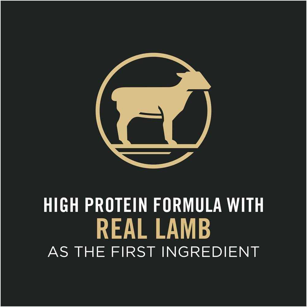 Purina Pro Plan Sensitive Skin & Stomach Lamb & Rice Formula Dry Cat Food - Healthber