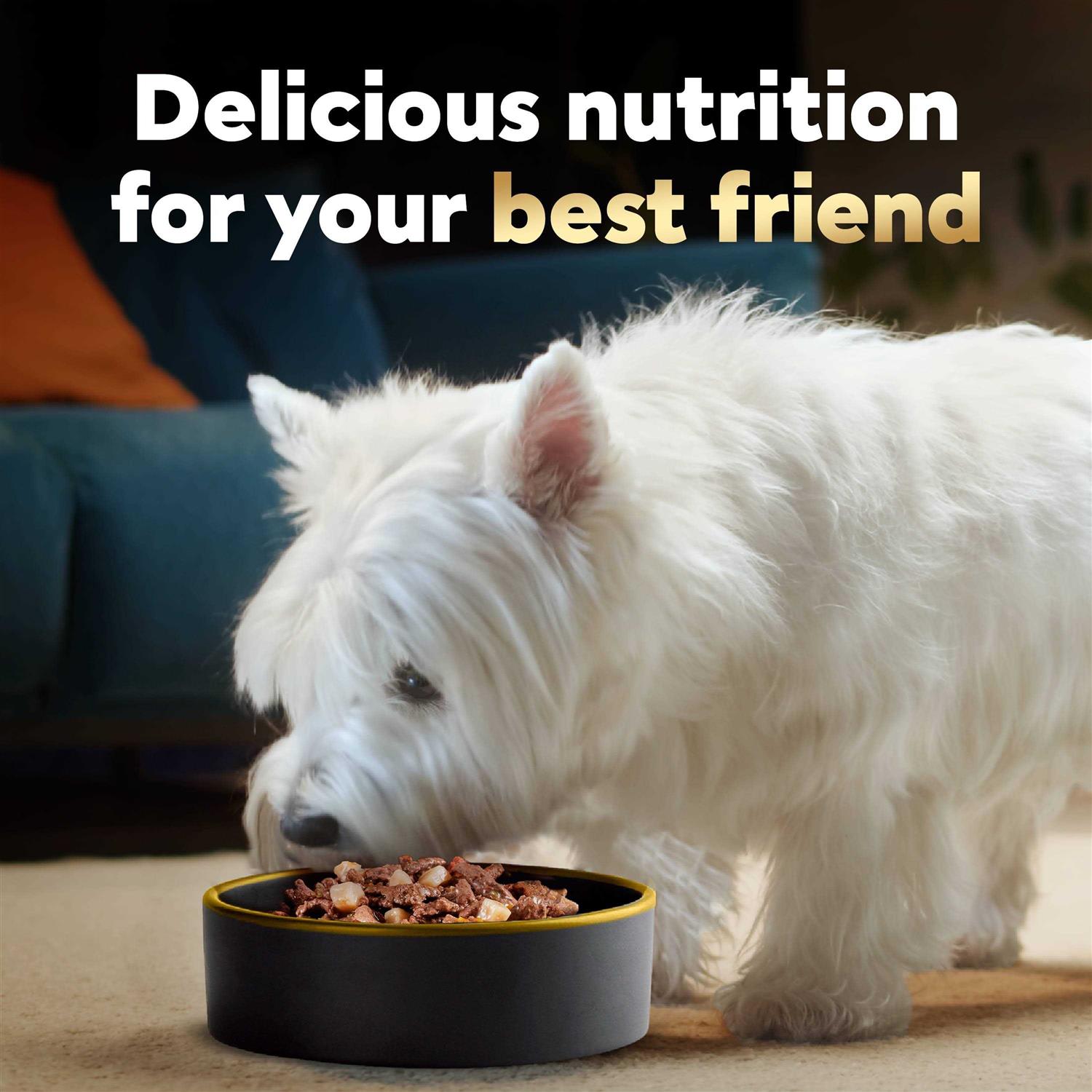 Cesar Home Delights Vegetables Dog Food - Healthber