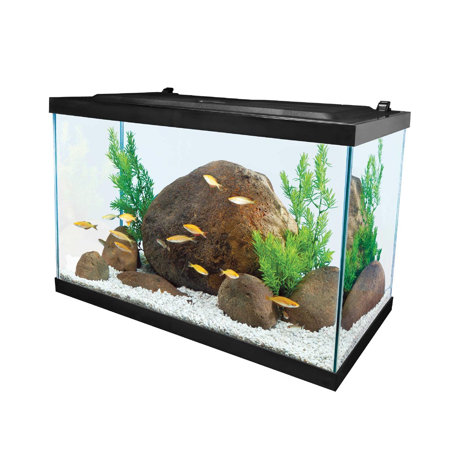 Tetra 20 Gallon Glass LED Aquarium Kit - Healthber