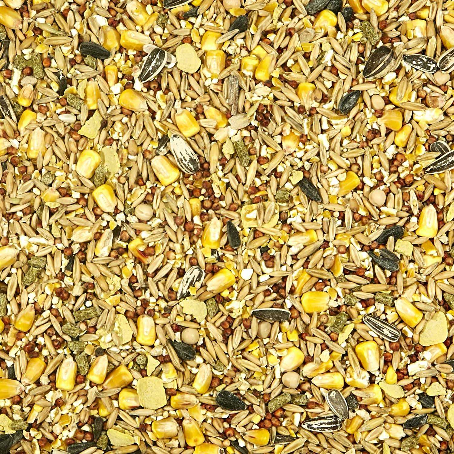 Kaytee Backyard Wildlife - Healthber