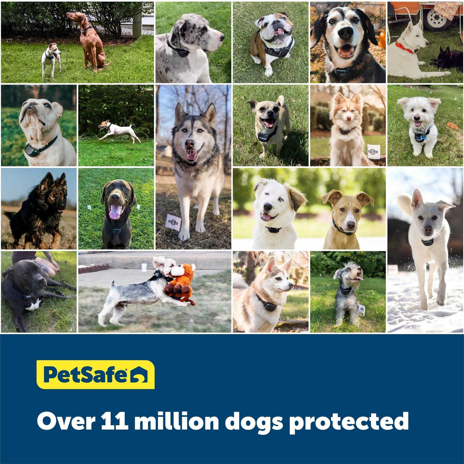 PetSafe Classic In-Ground Fence - Healthber