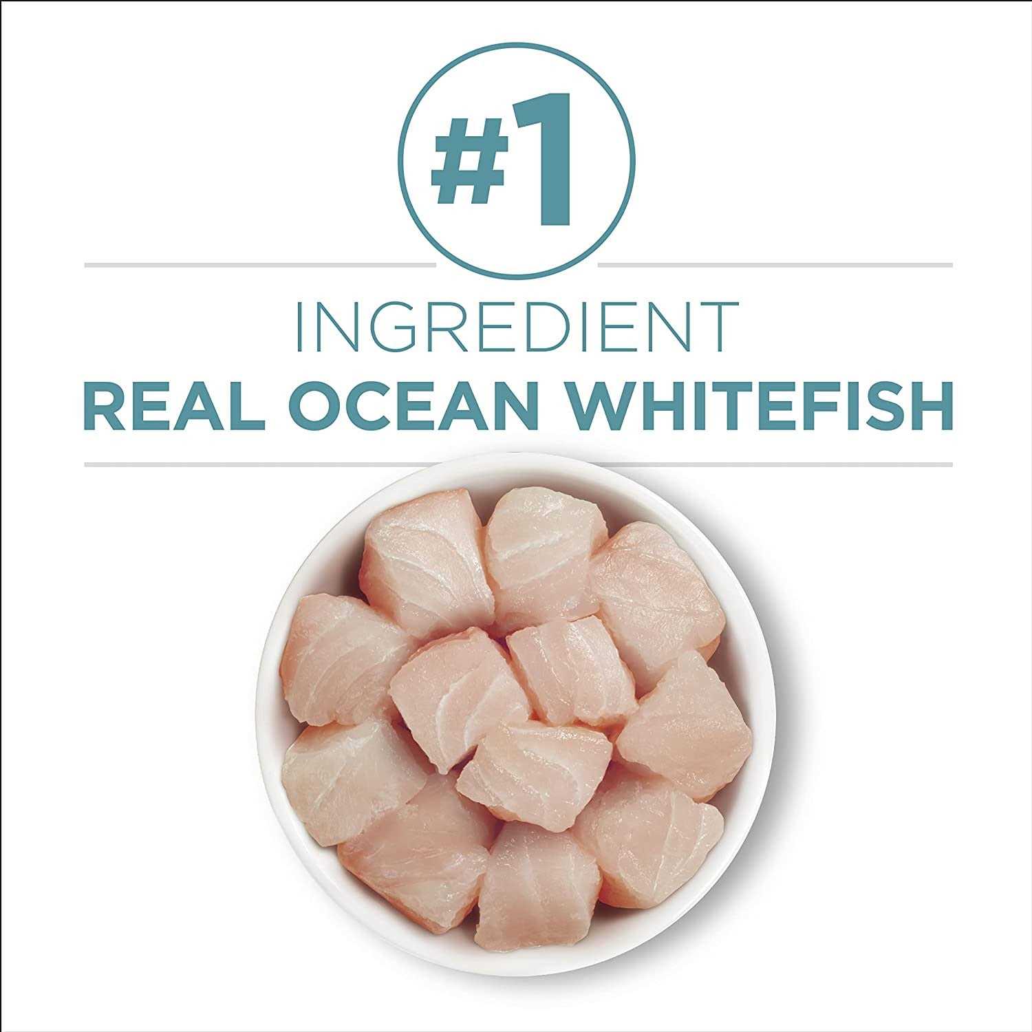 Purina ONE Indoor Advantage High Protein Ocean Whitefish & Rice Wet Cat Food - Healthber