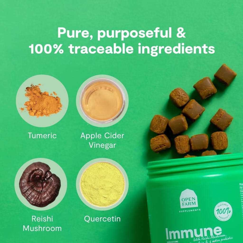 Open Farm Dog Supplement Immune Chews - Healthber