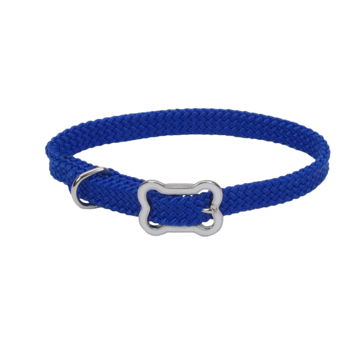 Sunburst Dog Collar with Bone Buckle - Healthber