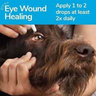 Oculenis Ocular Repair Gel for Dogs & Cats - Healthber
