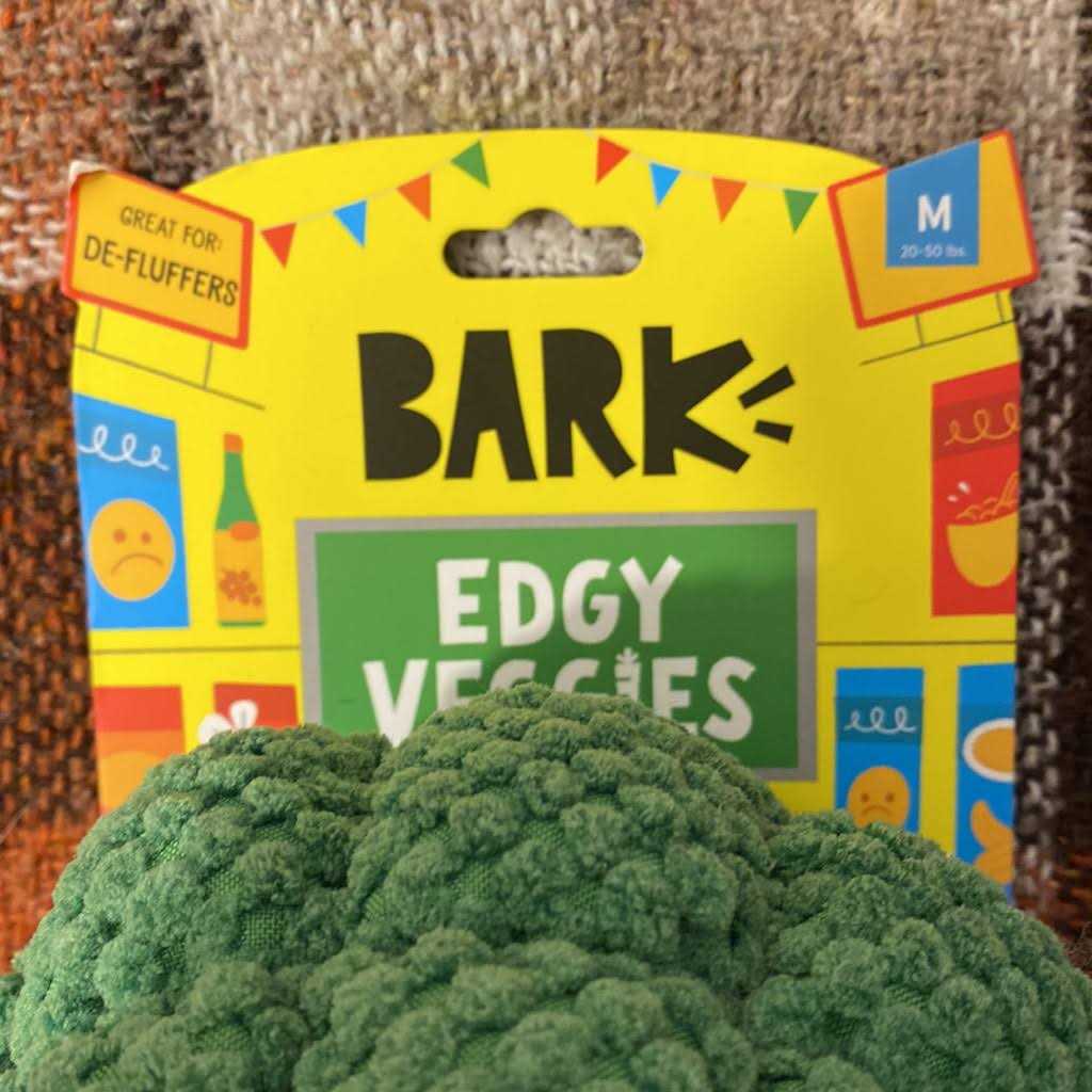 BARK Punk Brocc Broccoli Dog Toy - Healthber