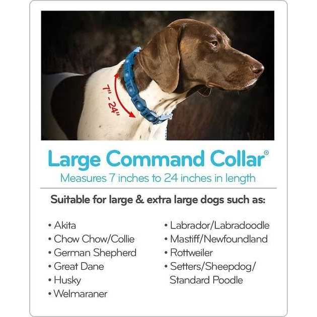 The Perfect Dog Command Training Dog Collar, Medium/Large - Healthber